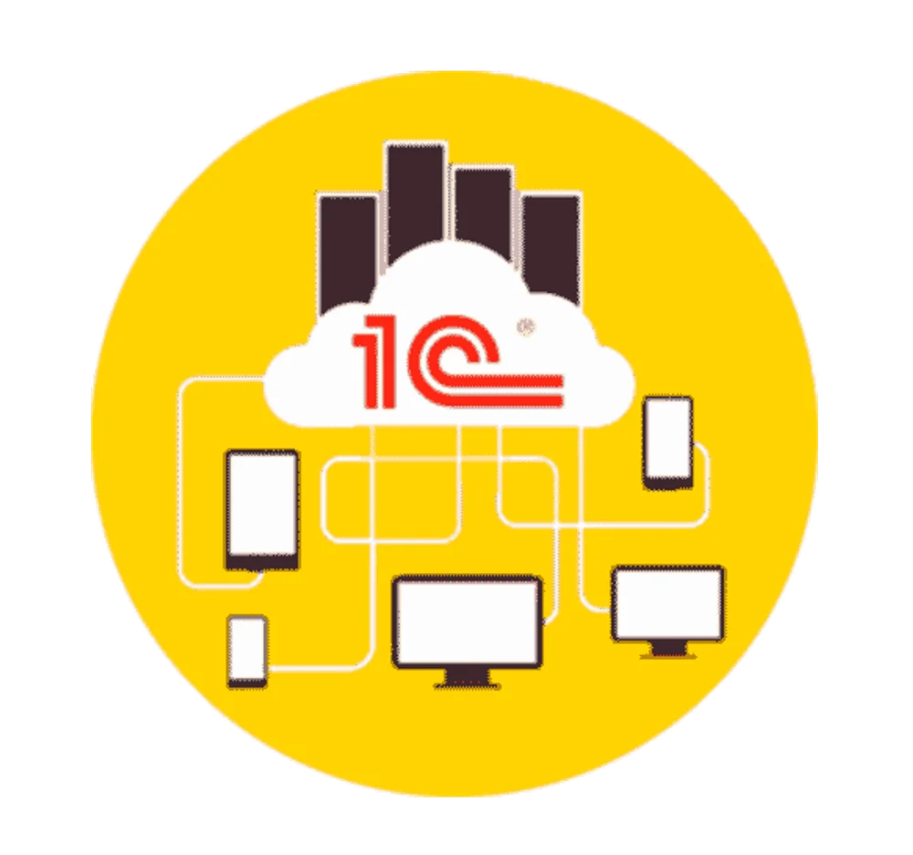 Сопровождение 1С